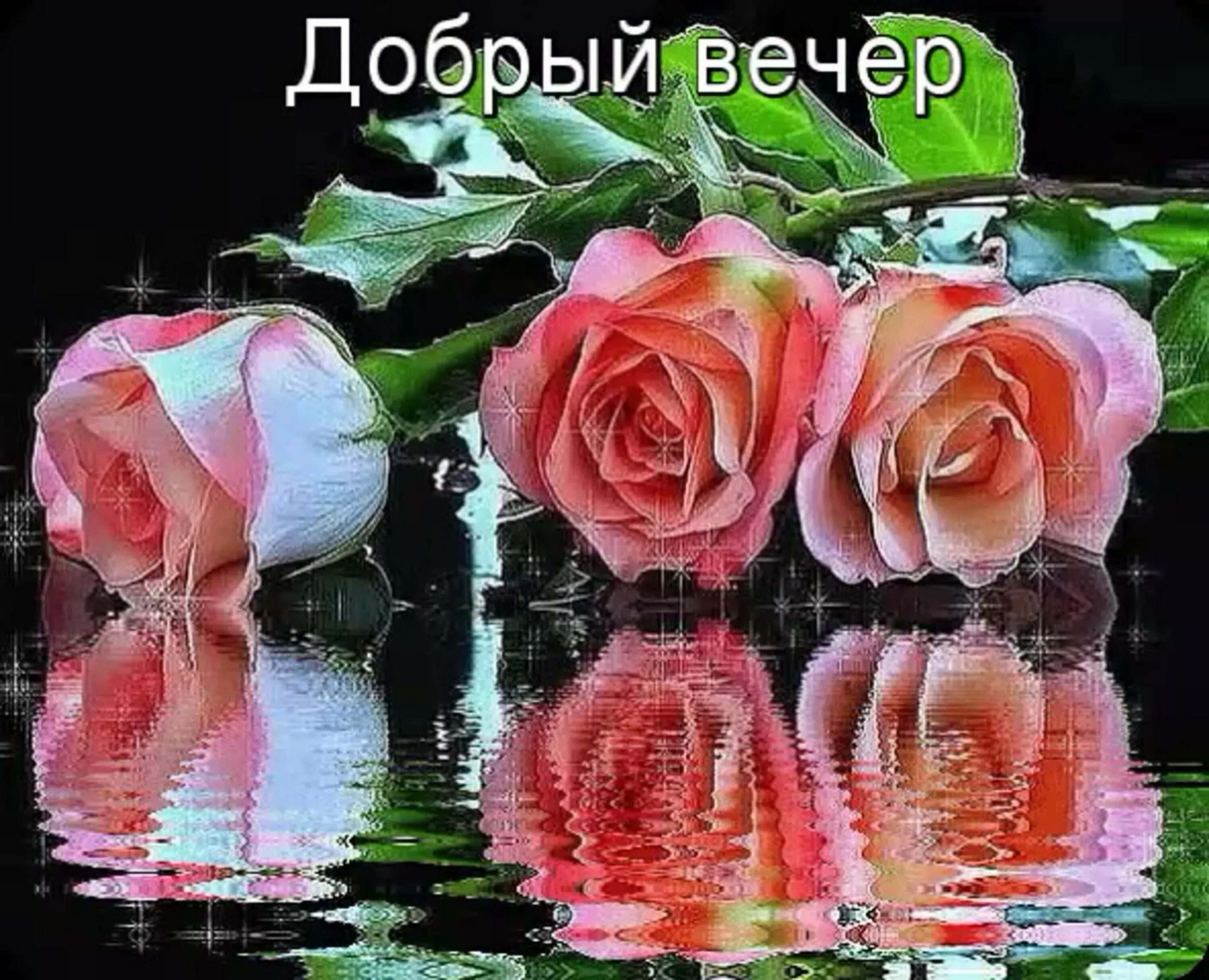 Картинка добрый вечер оля Добрый вечер светлана картинки