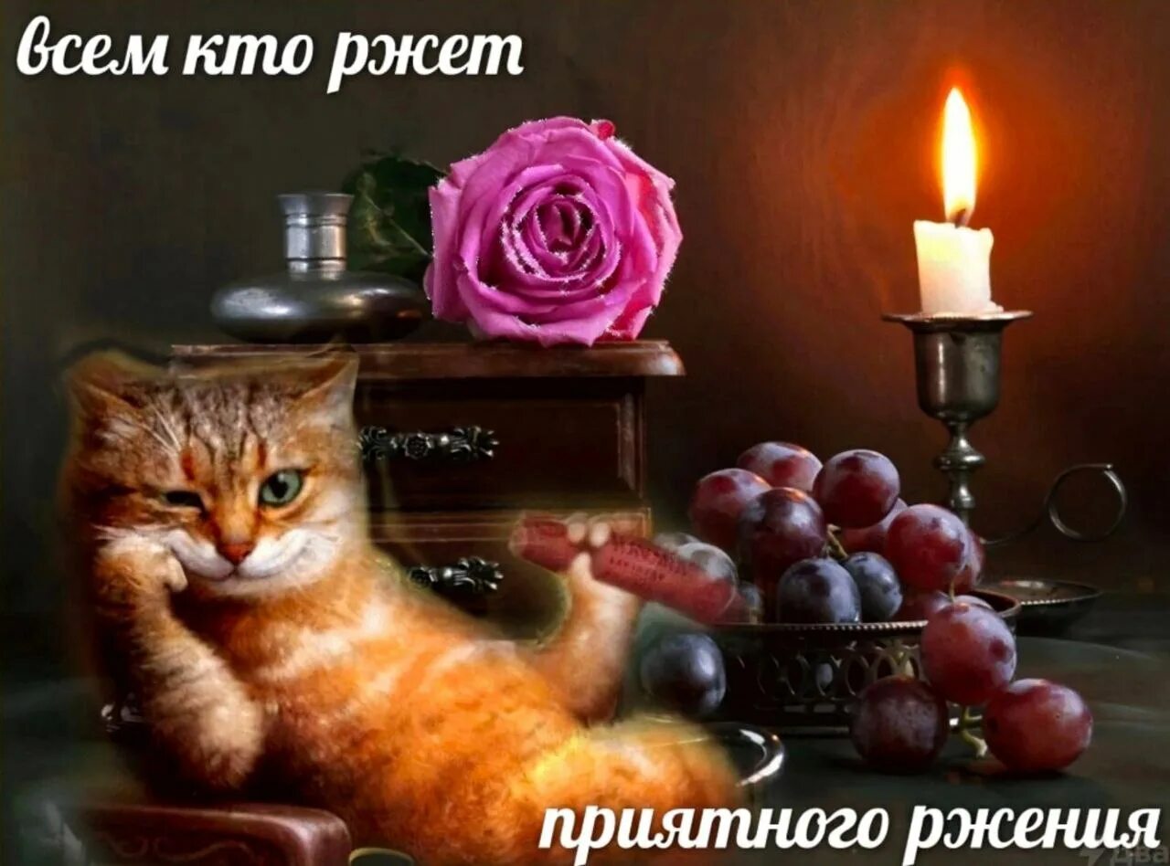 Картинка добрый вечер прикольная женщине Вечерочек картинки