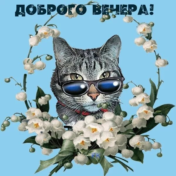 Картинка добрый вечер прикольная женщине Открытка Доброго вечера!