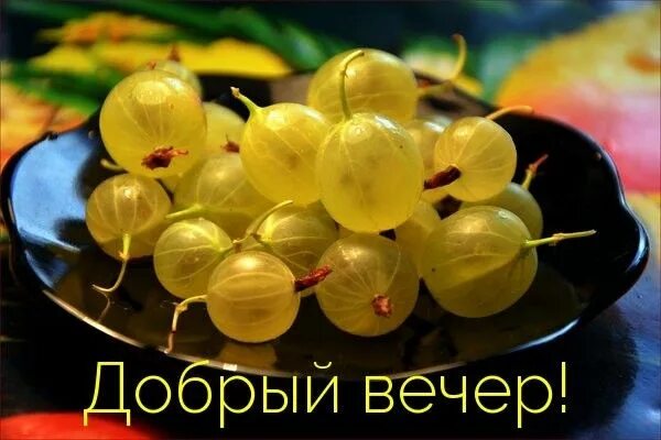 Картинка добрый вечер с фруктами Pin on Доброго вечера! Grapes, Fruit, Food