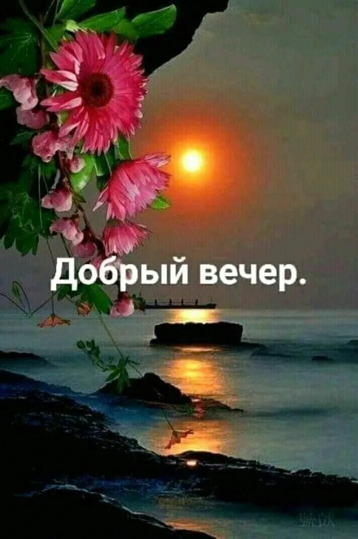 Картинка добрый вечер спокойный нежный Пожелания доброго вечера и доброй ночи - Фото OK.RU Bonne nuit, Belle image d am