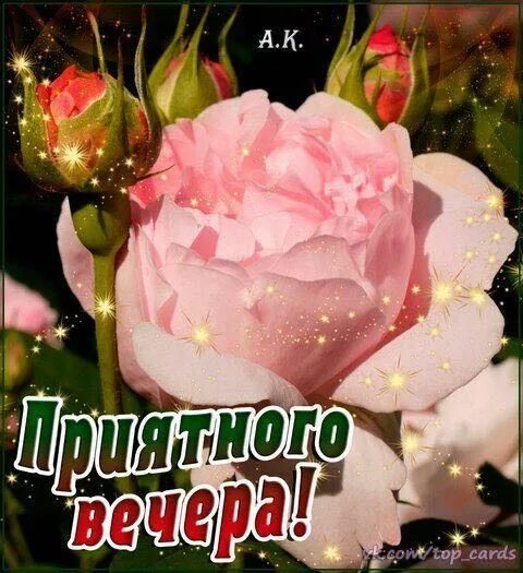 Картинка добрый вечер таня Пин от пользователя Irina на доске Картинки Летние сцены, Поздравительные открыт