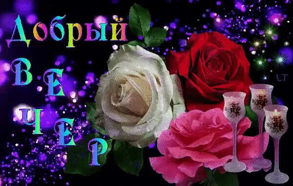 Картинка добрый вечер таня Фото 974741639048 из альбома Разное. Смотрите в группе Радуга цветов. в ОК