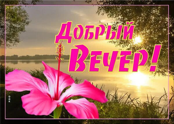 Картинка добрый вечер таня ВСЕМ - ВСЕМ... - Просто ДОБРОЕ УТРО , пользователь Надежда Прудникова Группы Мой
