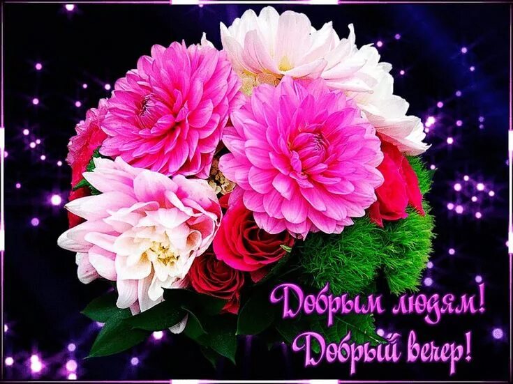 Картинка добрый вечер женщине скачать бесплатно Пин от пользователя OLGA на доске ОТКРЫТКИ,ПОЖЕЛАНИЯ Цветы, Поздравительные откр