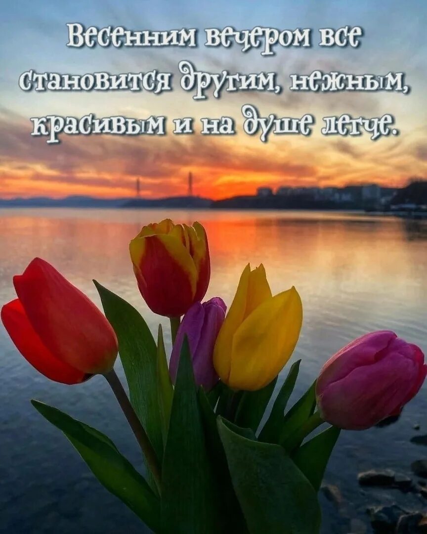 Картинка добрый весенний вечер женщине Have a peaceful evening ! 2023 Тропинка к сердцу VK