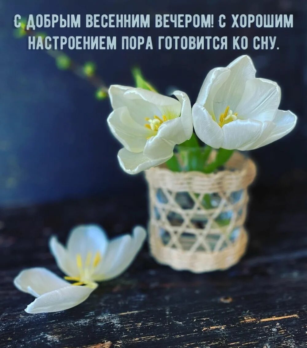 Картинка добрый весенний вечер женщине Картинка: С добрым весенним вечером! Пора готовится ко сну.