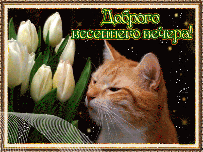 Картинка добрый весенний вечер женщине Сирийские "партизаны" обстреляли американскую базу