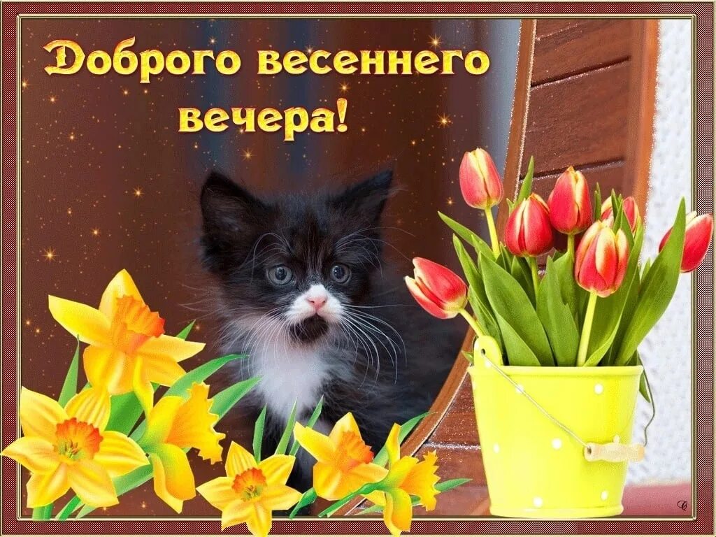 Картинка добрый весенний вечер женщине С добрым вечером весенним! Пусть хорошим будет отдых, настроение отличным! Всего