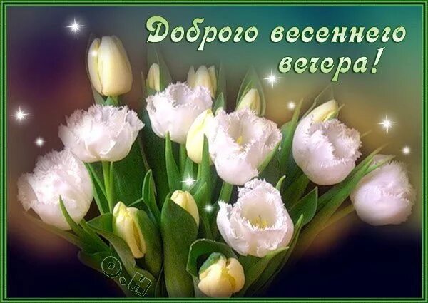 Картинка добрый весенний вечер женщине Доброе утро!!! - Клуб "У камина"(кому за 50), пользователь Ольга Плесовских Груп