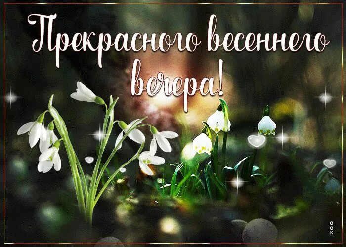 Картинка добрый весенний вечер женщине Милая открытка с цветочками Прекрасного весеннего вечера
