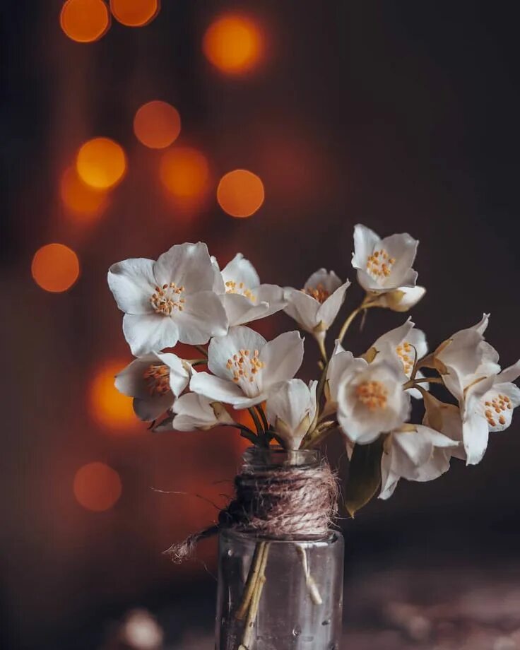 Картинка добрый весенний вечер женщине Pin on Bokeh Love
