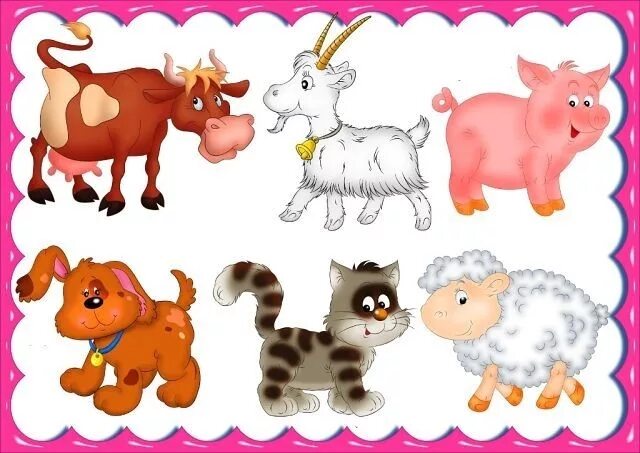 Картинка домашние животные для дошкольников Я - фотограф Boy car room, Boy car, Animals
