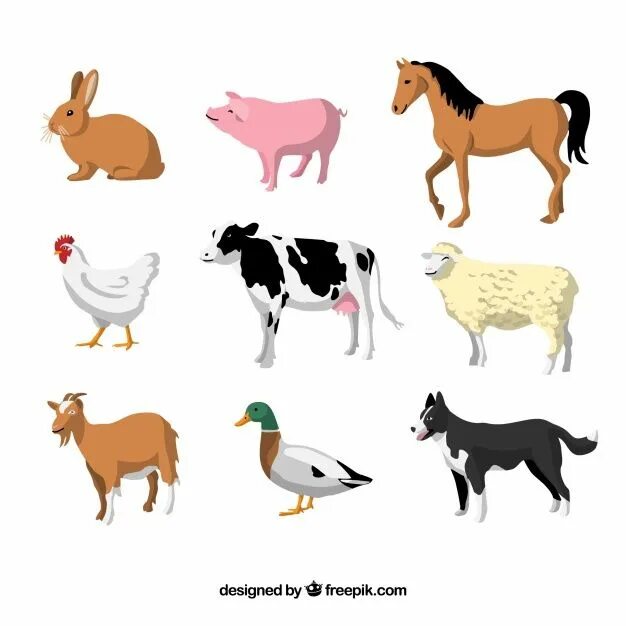 Картинка домашние животные для дошкольников Premium Vector Flat set of domestic animals Animals, Animal quiz, Big animals