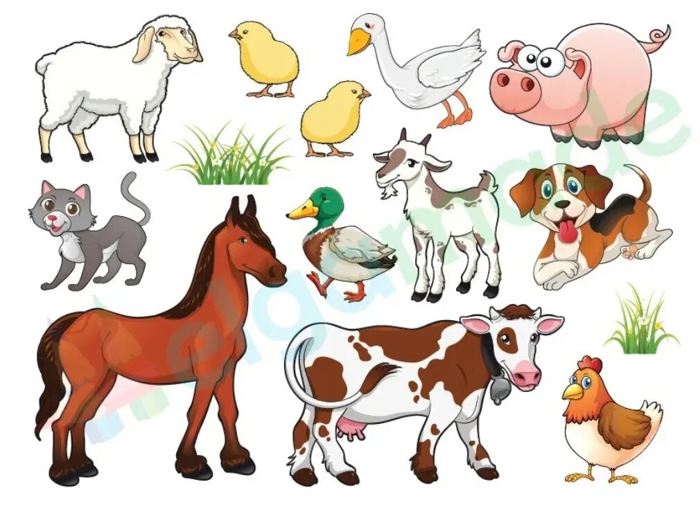 Картинка домашние животные для дошкольников ФИЛВОРД по теме "Animals"