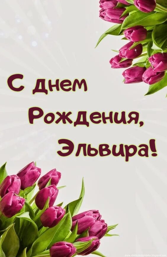 Картинка эльвира с днем рождения прикольные Открытки "Эльвира, с Днем Рождения!" (75 шт.