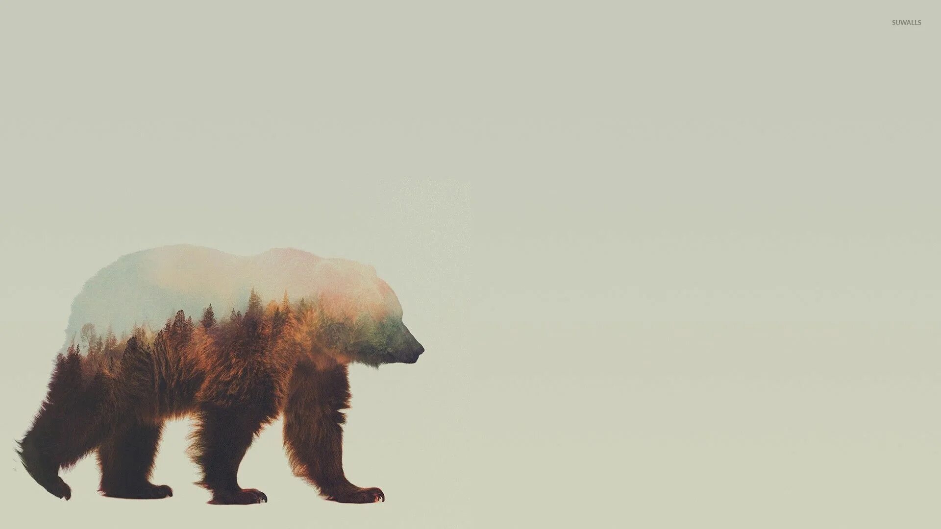 Картинка фон дикие животные Bear Art Wallpapers Hd Bear art, Graphic art print, Canvas art prints