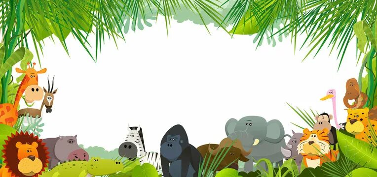 Картинка фон дикие животные Zoo Background Cartoon Изображения: просматривайте стоковые фотографии, векторны