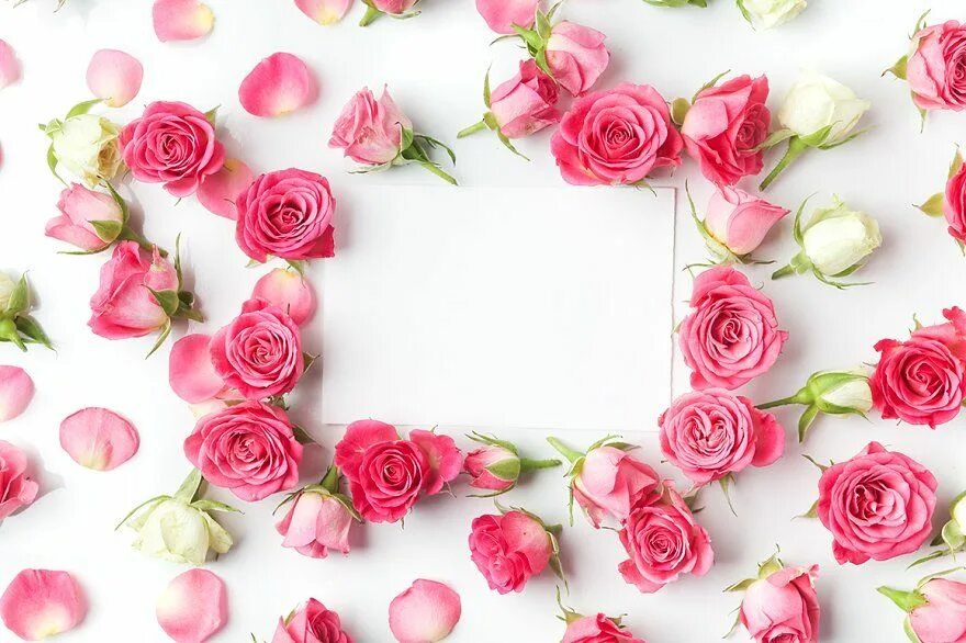 Картинка фон с днем рождения женщине Framework from roses featuring anniversary, art, and artistic in 2022 Rose flowe