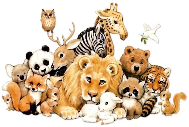 Картинка где нарисованы животные Animales Bosque Jungla Selva Zoo art collection Art Illustration Animal drawings