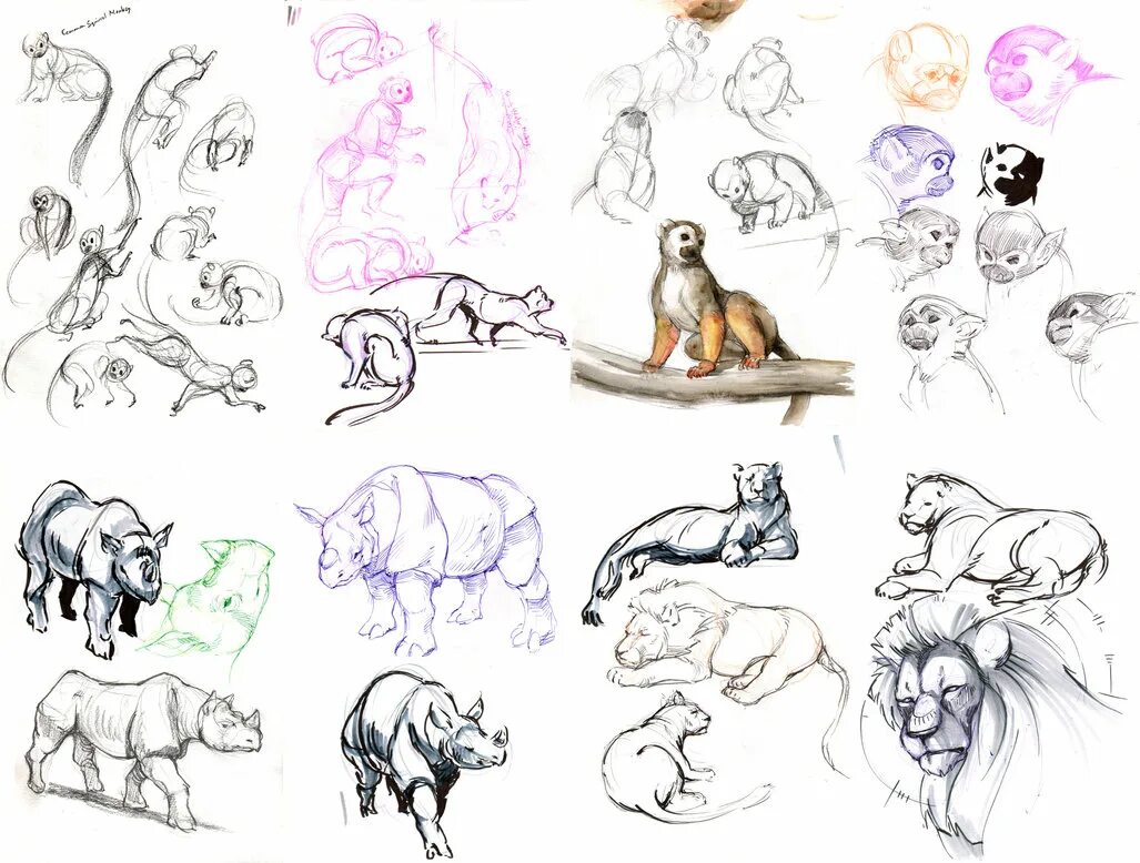 Картинка где нарисованы животные Sketch Zoo at PaintingValley.com Explore collection of Sketch Zoo