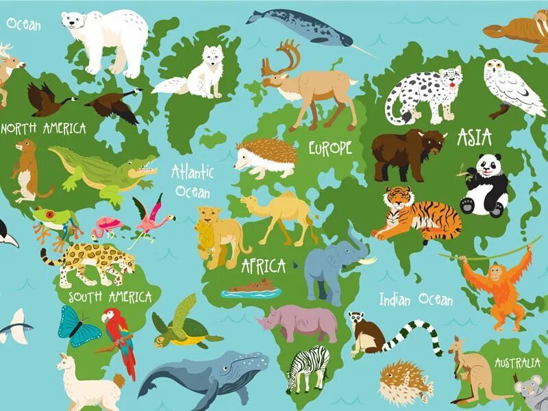 Картинка где найти животные Animal and the Partner: Animal Atlas - Animals Atlas Animal atlas, Endangered an