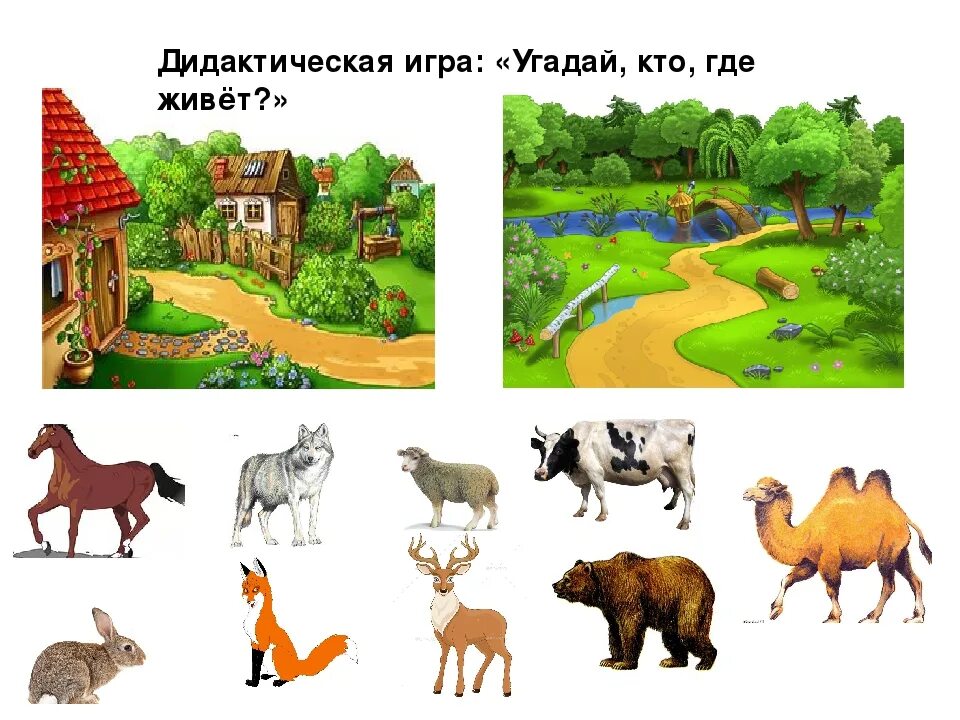 Картинка где живут домашние животные Где живут - блог Санатории Кавказа