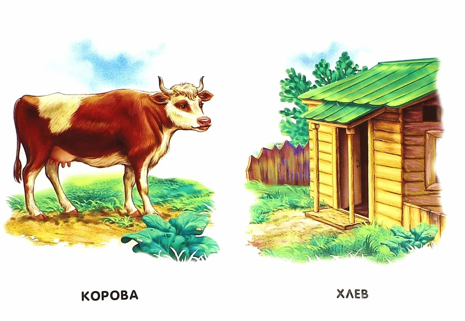 Картинка где живут домашние животные Жилище домашних животных фото - DelaDom.ru