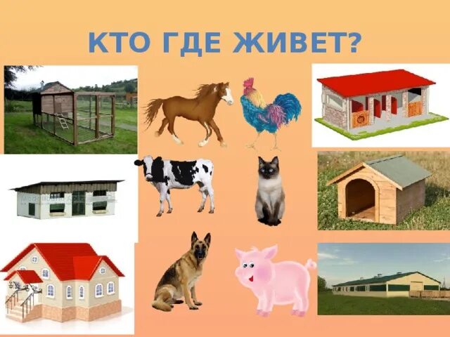 Картинка где живут домашние животные Презентация "Дикие животные" - дошкольное образование, презентации