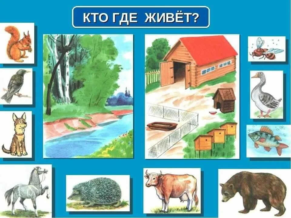 Картинка где живут домашние животные Кто-кто в этом домике живёт? : экологическая тропинка. 2024, Слободской - дата и