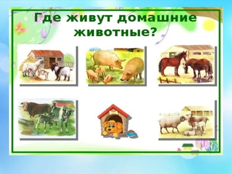 Картинка где живут домашние животные Расскажите детям о домашних животных 2024 Средняя А ВКонтакте