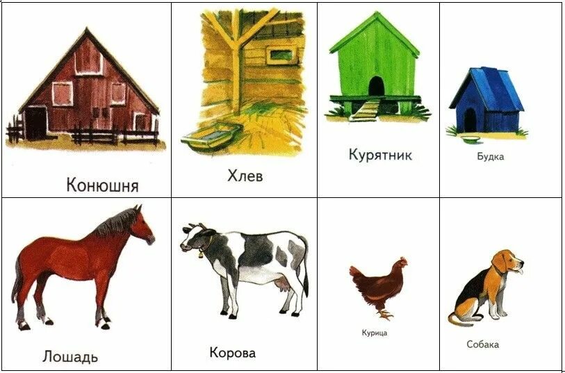 Картинка где живут домашние животные Pin on Zapisane na szybko in 2024 Animals, Dogs