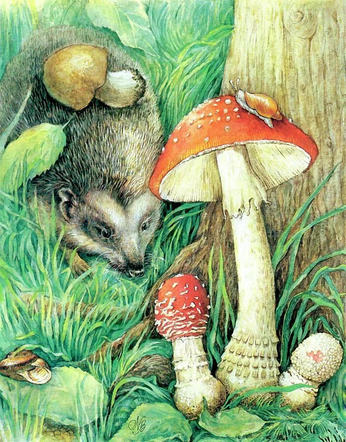 Картинка грибы и животное Pin on ЕЖИКИ Mushroom art, Stuffed mushrooms, Art