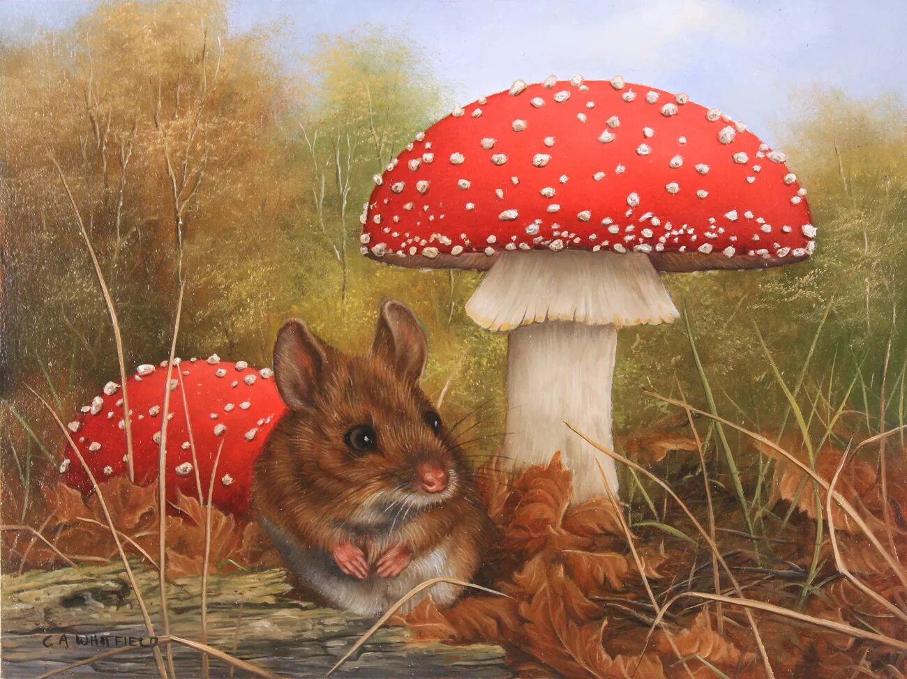 Картинка грибы и животное Carl Whitfield, Original oil painting on panel, Mouse and Toadstool 7x5ins, Art 