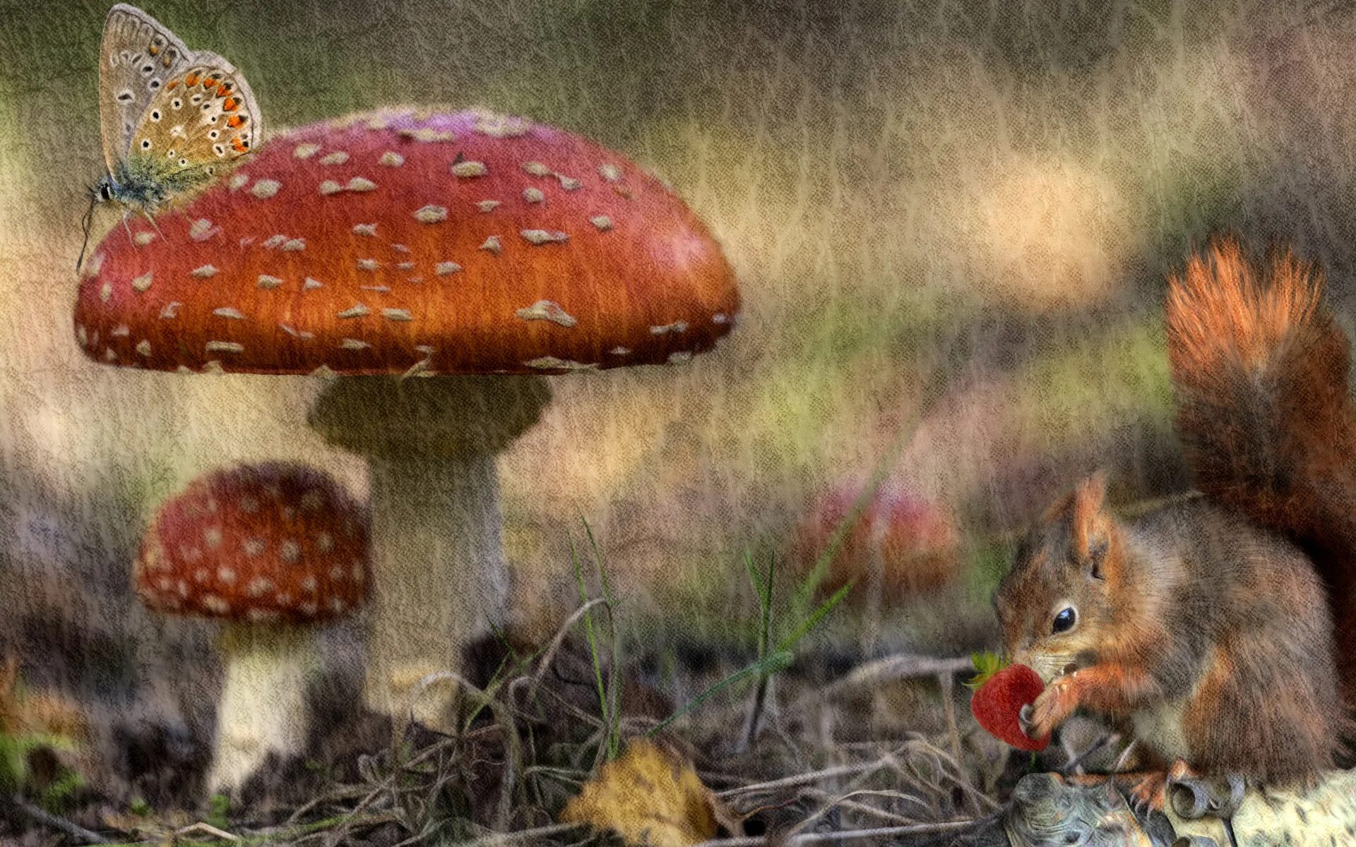 Картинка грибы и животное Download wallpaper autumn, forest, rendering, butterfly, mushrooms, treatment, t