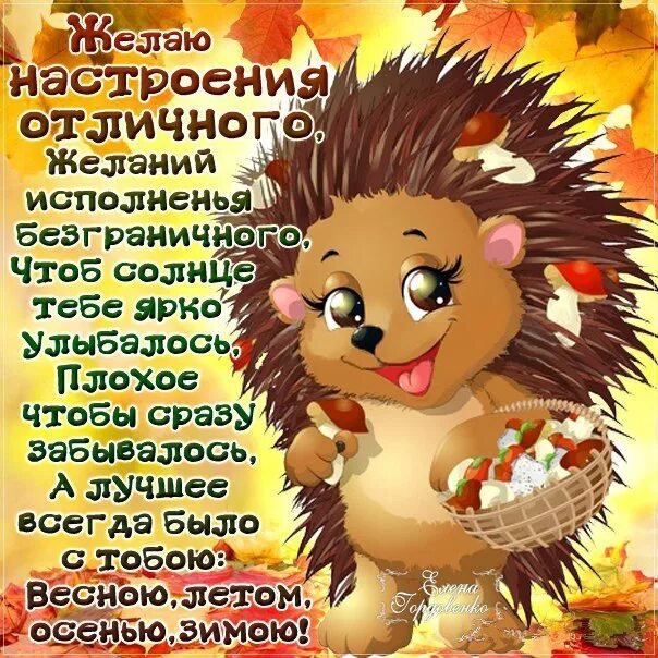 Картинка хорошего дня ежик Стих для настроения мужчине: найдено 89 картинок