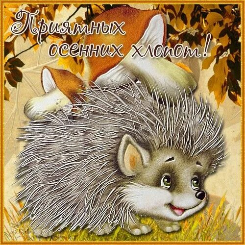 Картинка хорошего дня ежик Pin on Открытки Разное
