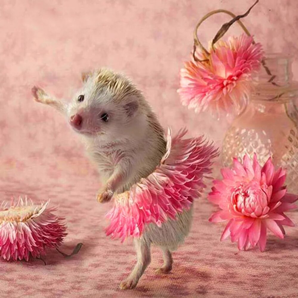 Картинка хорошего дня ежик 5D Diamond Вышивка Цветы Hedgehog DIY Алмазная живопись Крестная вышивка Алмазна