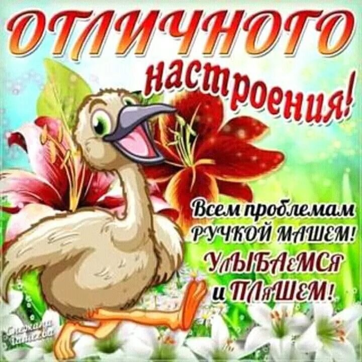Картинка хорошего дня и отличного настроения прикольные Пин от пользователя Турмышов Александр на доске Спасибо. Открытки, Счастливые ка