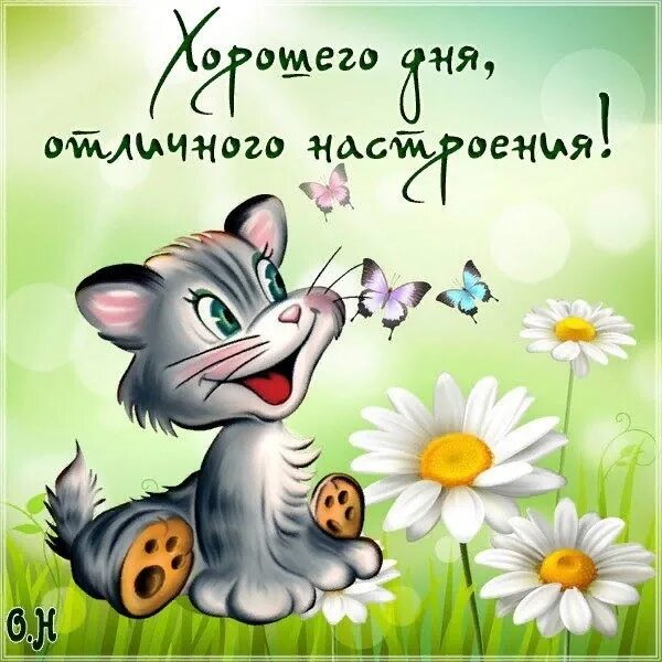 Картинка хорошего дня и отличного настроения прикольные Congratulation Friends ➡ https://vk.cc/cdLJeD 2023 Доброе Утро - Доброй Ночи VK