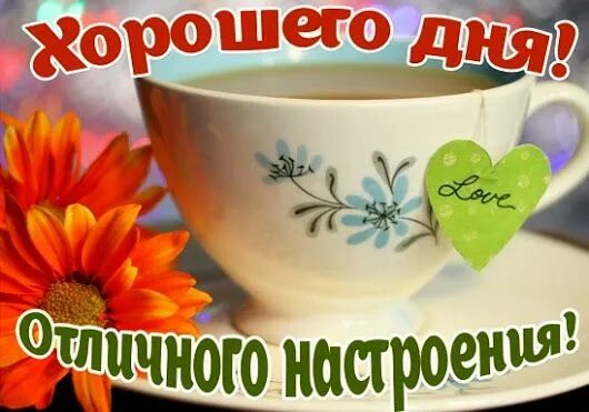 Картинка хорошего дня и отличного настроения прикольные New community features for Google Chat and an update on Currents Tableware, Tea 