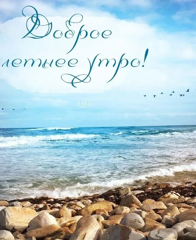 Картинка хорошего дня море #доброе_утро Хорошего дня! 2023 Александра Бессмертных Неярова OFFICIAL GROUP ВК