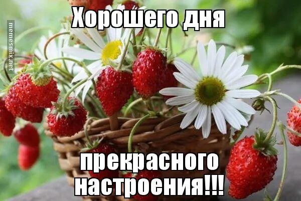Картинка хорошего дня наташа Дорогие участники !!! Администрация желает вам доброго утра, хорошего дня и прек