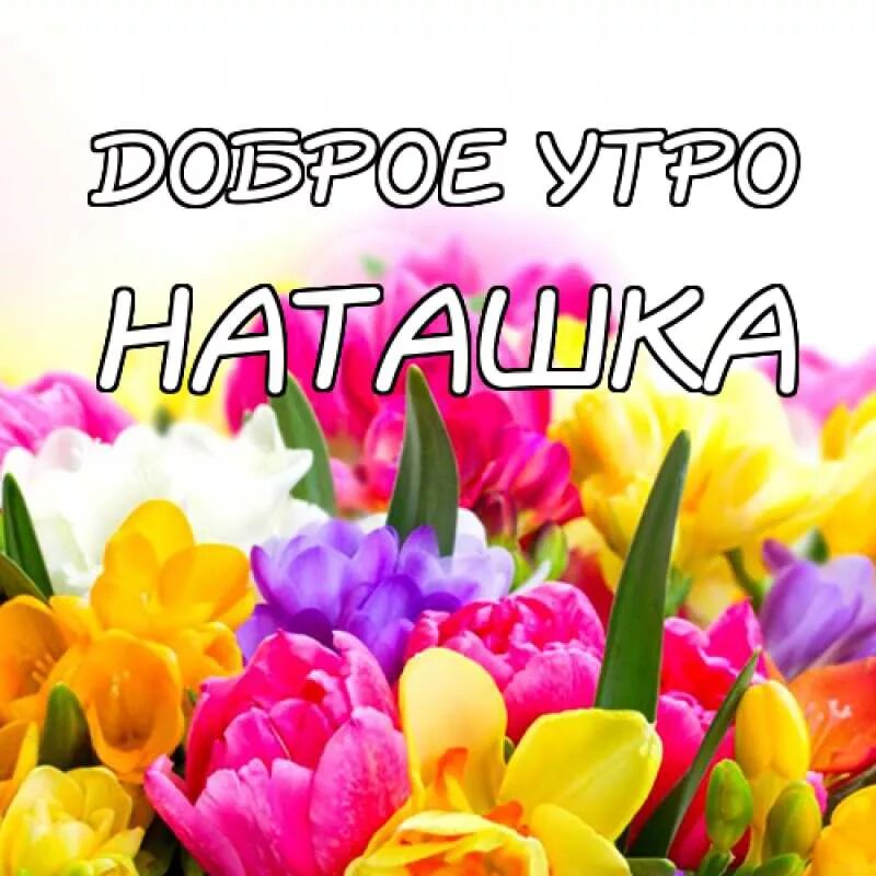 Картинка хорошего дня наташа Утро наташи: найдено 89 картинок