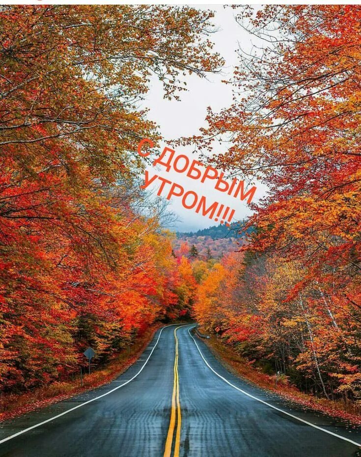 Картинка хорошего дня осенний пейзаж Pin on Доброе утро, вечер и день Autumn landscape, Nature photography, Tree phot