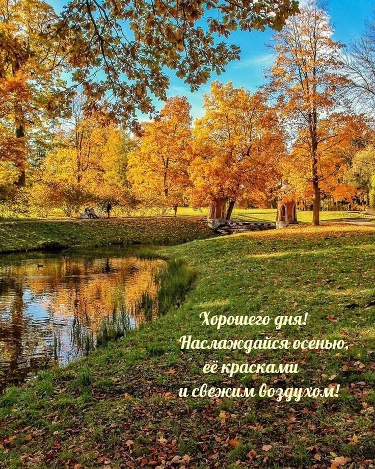 Картинка хорошего дня осенний пейзаж Картинки "Хорошего осеннего дня!" (155 шт.) Пейзажи, Осенний пейзаж, Живописные 