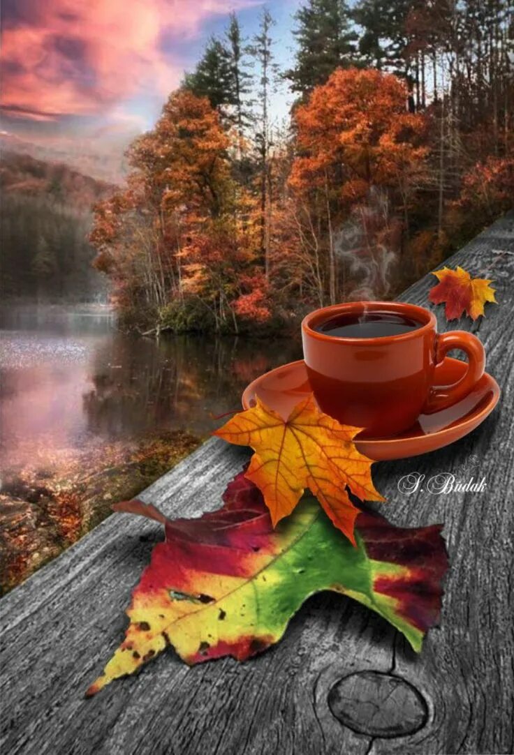 Картинка хорошего дня осенний пейзаж FrancaZampieri shared a photo from Flipboard Paysage automne, Photographie de l'