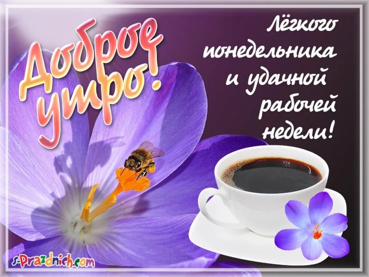 Картинка хорошего дня понедельника скачать бесплатно Легкой недели картинки с надписями: найдено 79 изображений