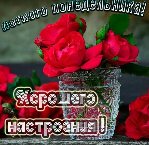 Картинка хорошего дня понедельника скачать бесплатно ДОБРОГО ПОНЕДЕЛЬНИКА! И ХОРОШЕЙ НЕДЕЛИ! 2022 Иван Старцев ВКонтакте