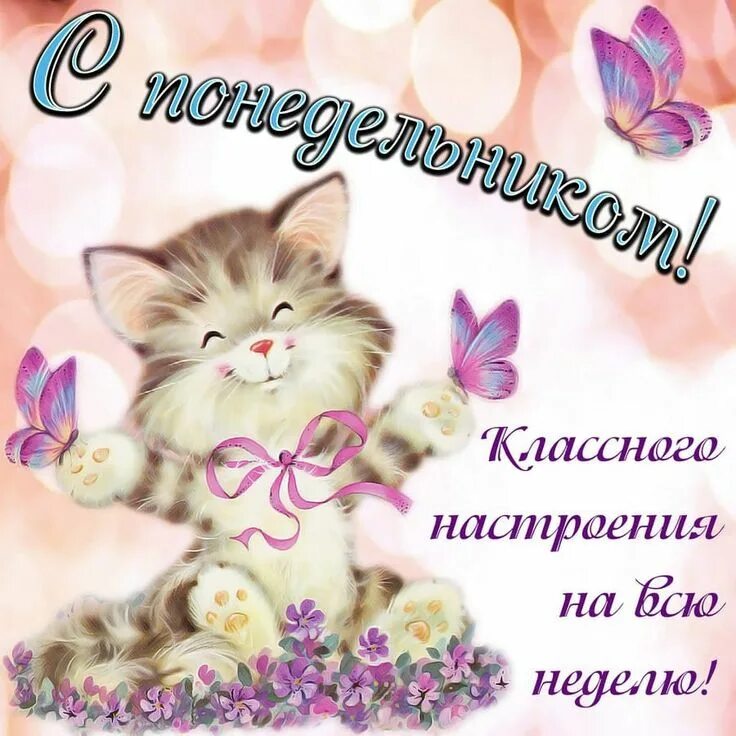 Картинка хорошего дня понедельника скачать бесплатно Пин от пользователя filatov vladimir на доске Доброе утро Спокойной ночи Доброе 